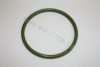 OPEL 0652553 Seal Ring